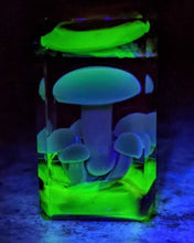 Load image into Gallery viewer, many mushy pendant glass