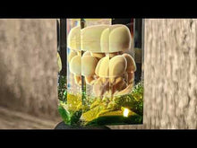 Load and play video in Gallery viewer, glass many mushrooms pendant