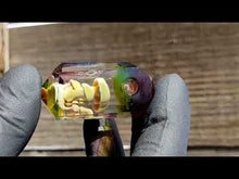 Load and play video in Gallery viewer, glass mushrooms pendant