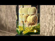 Load and play video in Gallery viewer, glass many mushrooms pendant
